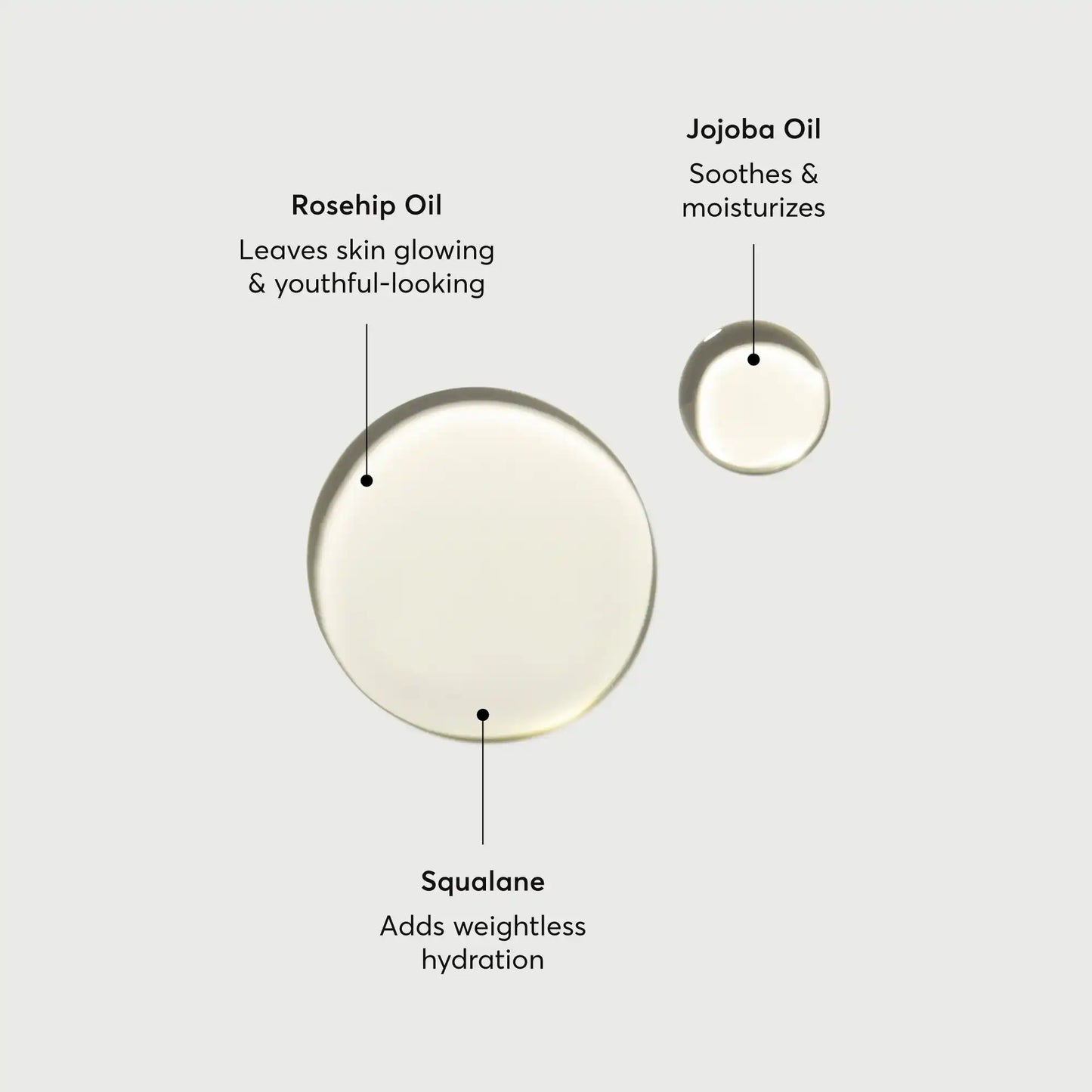 the-glow-getter-body-oil-l3 NATR-10115-Alt-Images-The-Glow-Getter-Body-Oil-01.webp