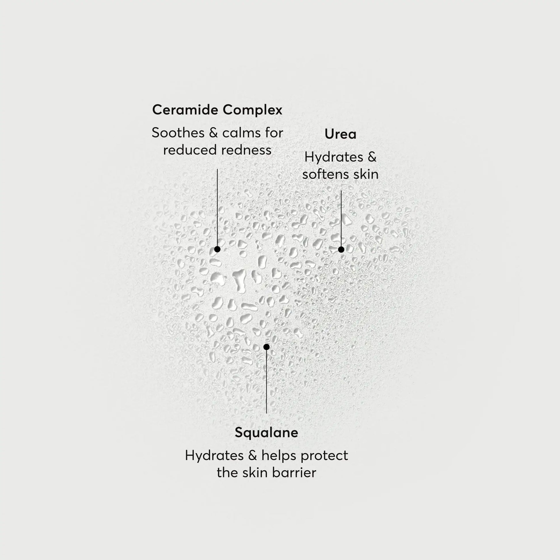 barrier-bounce-bi-phase-mist-c8 NATR-10167-Alt-Images-Barrier-Bounce-Bi-Phase-Toner-Mist_01.webp