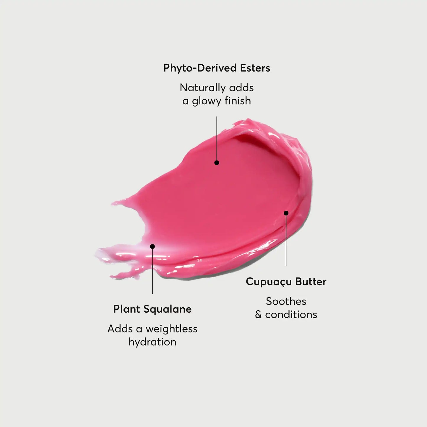 phyto-glow-lip-balm-camellia-z7 NATR-60075-Alt-Images-Phyto-Glow-Lip-Balm-Camellia-01.webp